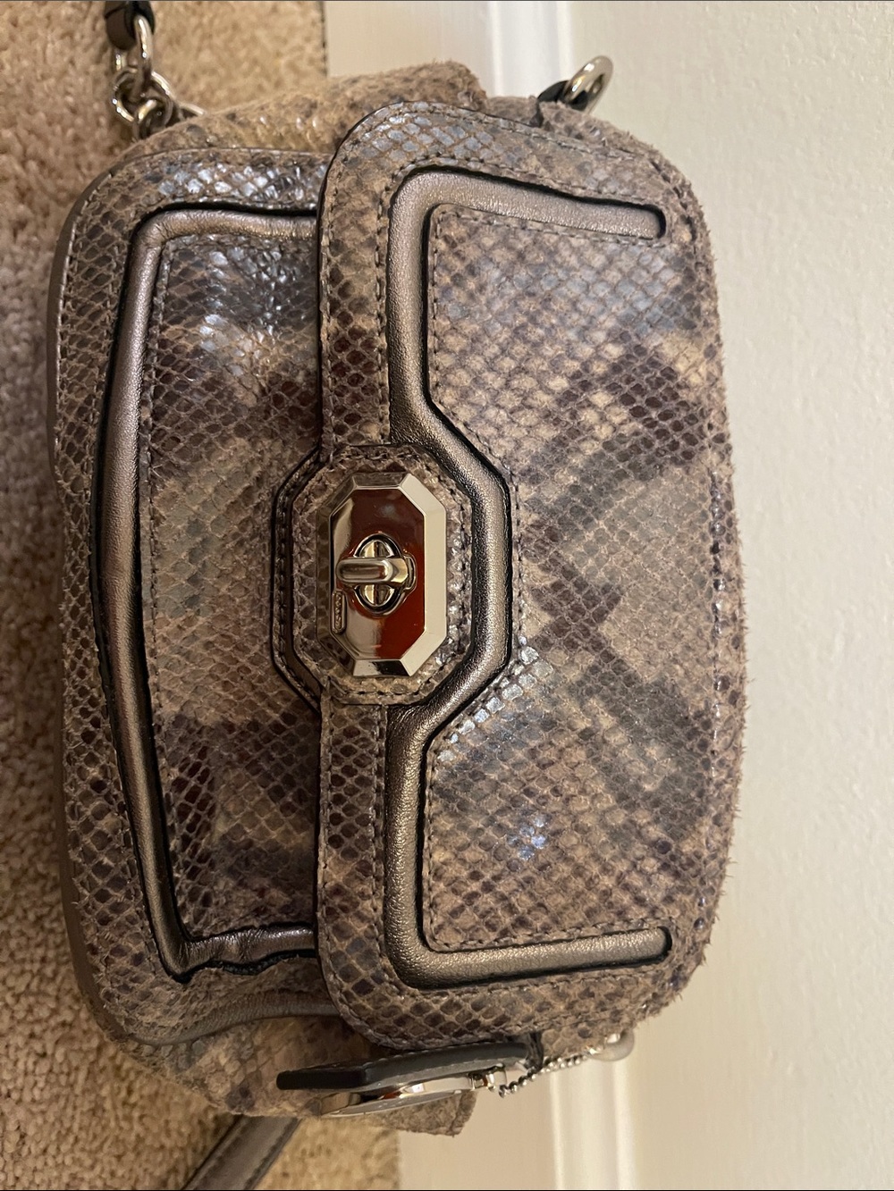 Coach Taupe Snake-Print Crossbody Bag with Chain Strap